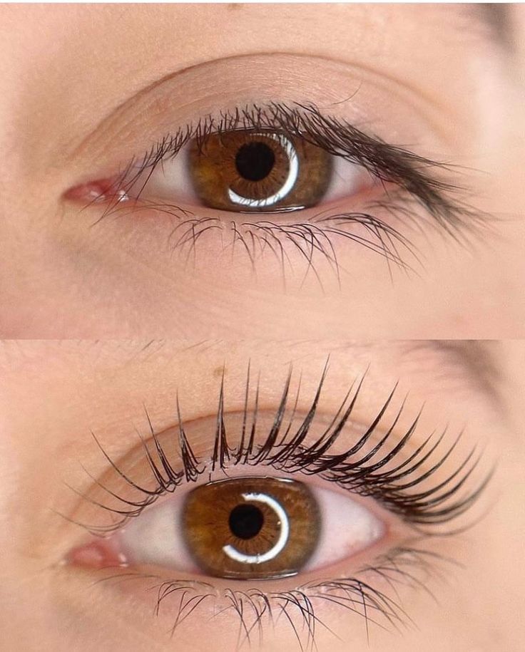 e1f996fbbe88ec9dcb1df1ab4667a865